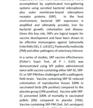 The effective use of SRP antigens in poultry vaccines