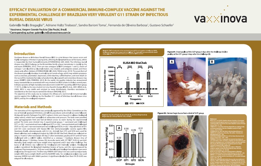 Efficacy immune-complex IBD vaccine