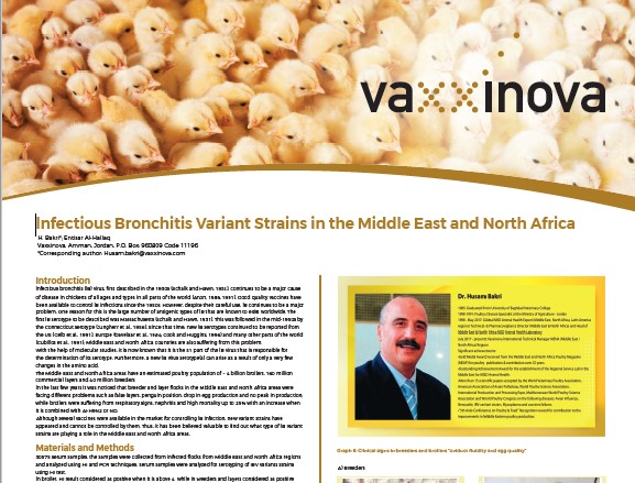 Infectious Bronchitis variant strains in the Middle East and North Africa