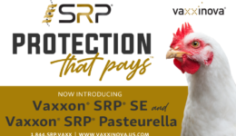 SRP Protection that pays poultry
