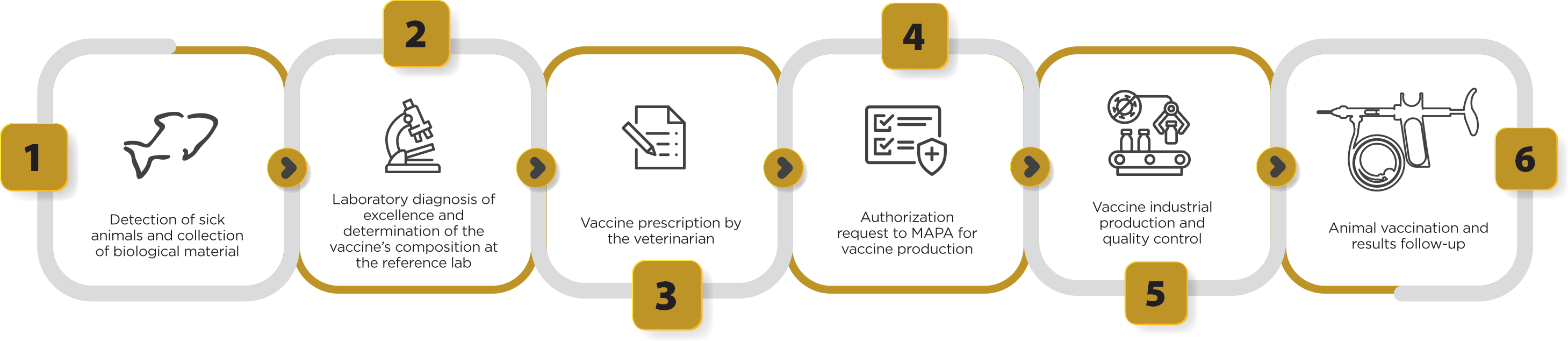 Figure 2. Stages of clinical sample collection, laboratory diagnosis, vaccine prescription by the veterinarian, authorization request to MAPA and production of autogenous vaccines used for tilapia culture.