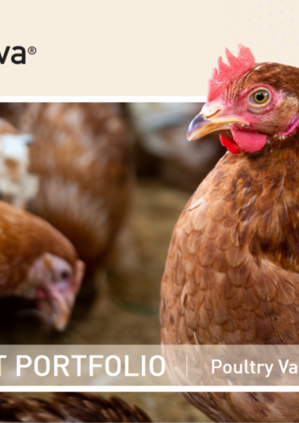 Poultry portfolio