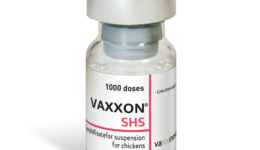 Live-vial-1000ds-Vaxxon®-SHS