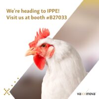 IPPE 2026